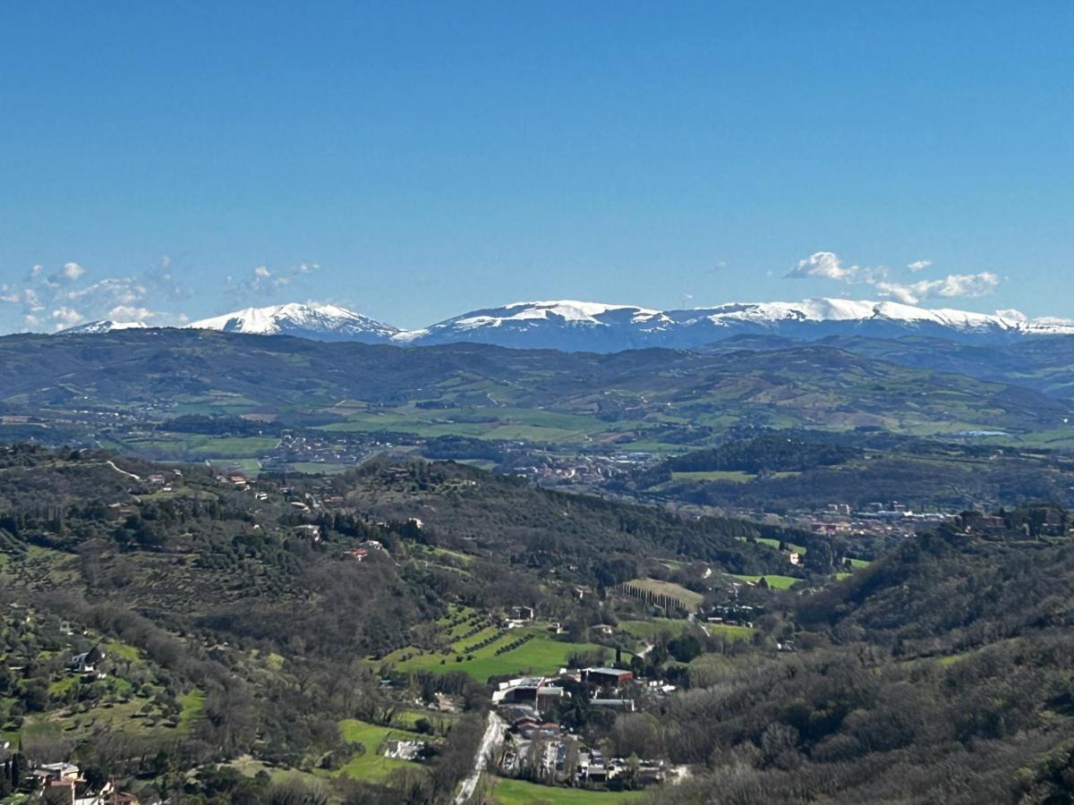 Guest house Residenza Il Punto 3*